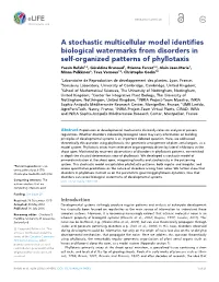 A Stochastic Multicellular Model Identifies Biological Watermarks