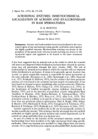 Acrosomal Enzymes: Immunochemical Localization of Acrosin and Hyaluronidase in Ram Spermatozoa