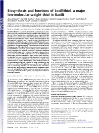 Biosynthesis and Functions of Bacillithiol, a Major Low-Molecular-Weight Thiol in Bacilli