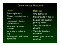Dicots Versus Monocots