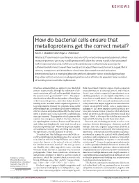 How Do Bacterial Cells Ensure That Metalloproteins Get the Correct Metal?