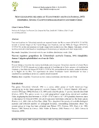 Texto Completo (Pdf)
