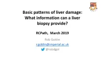 What Information Can a Liver Biopsy Provide?