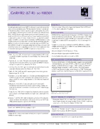 Gnrhr2 (67-R): Sc-100301