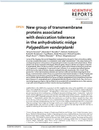 New Group of Transmembrane Proteins Associated with Desiccation Tolerance in the Anhydrobiotic Midge Polypedilum Vanderplanki Taisiya A