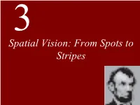 Spatial Vision: from Spots to Stripes Clickchapter to Edit 3 Spatial Master Vision: Title Style from Spots to Stripes