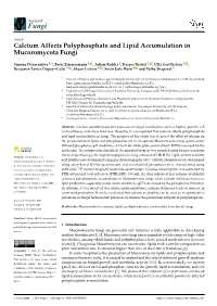 Calcium Affects Polyphosphate and Lipid Accumulation in Mucoromycota Fungi