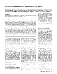 Erysiphe Trifolii Causing Powdery Mildew of Lentil (Lens Culinaris)