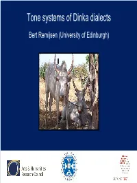 Tone Systems of Dinka Dialects Bert Remijsen (University of Edinburgh) Goals of My Research on Dinka Tone