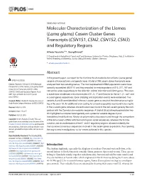 CSN1S1, CSN2, CSN1S2, CSN3) and Regulatory Regions