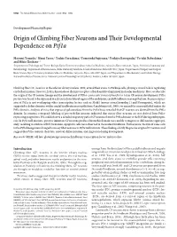 Origin of Climbing Fiber Neurons and Their Developmental Dependence Onptf1a