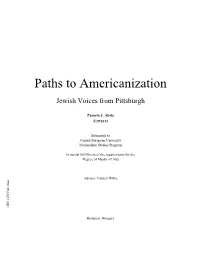 Paths to Americanization