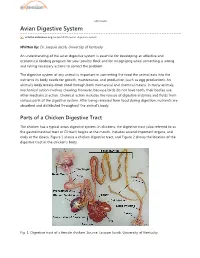 Avian Digestive System