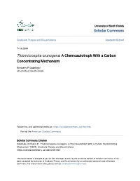 A Chemoautotroph with a Carbon Concentrating Mechanism