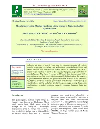 Alien Introgression Studies Involving Vigna Mungo X Vigna Umbellata Hybridization