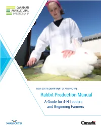 Rabbit Production Manual a Guide for 4-H Leaders and Beginning Farmers Rabbit Production Manual Table of Contents Disclaimer