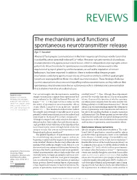 The Mechanisms and Functions of Spontaneous Neurotransmitter Release