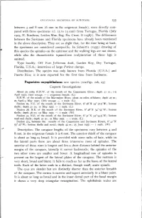 Were Directly Com- Pared with Three Specimens (Cl. 13 to 15 Mm) from Tortugas, Florida (July 1925, H