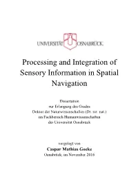 Processing and Integration of Sensory Information in Spatial Navigation