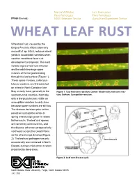 Wheat Leaf Rust