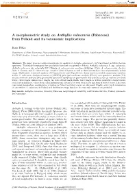 A Morphometric Study on Anthyllis Vulneraria (Fabaceae) from Poland and Its Taxonomic Implications