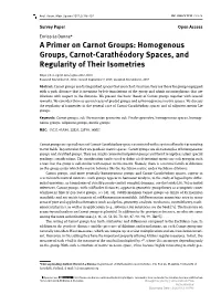 A Primer on Carnot Groups