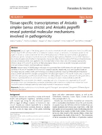 Anisakis Simplex