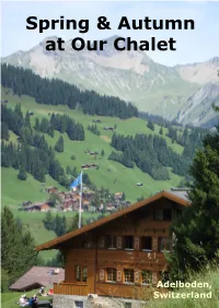 Spring & Autumn at Our Chalet