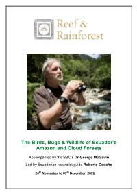 The Birds, Bugs & Wildlife of Ecuador's Amazon and Cloud Forests