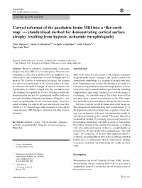 Curved Reformat of the Paediatric Brain MRI Into a 'Flat-Earth Map'