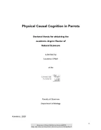 Physical Causal Cognition in Parrots