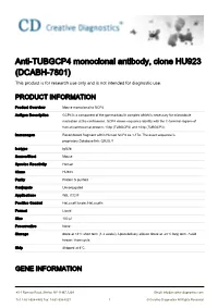 Anti-TUBGCP4 Monoclonal Antibody, Clone HU923 (DCABH-7801) This Product Is for Research Use Only and Is Not Intended for Diagnostic Use