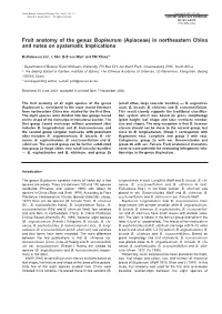 Fruit Anatomy of the Genus Bupleurum (Apiaceae) in Northeastern China and Notes on Systematic Implications