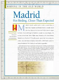 Madrid Hot Birding, Closer Than Expected