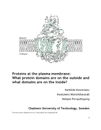 Proteins at the Plasma Membrane: What Protein Domains Are on the Outside and What Domains Are on the Inside?