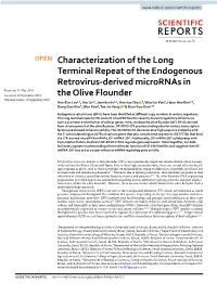 Characterization of the Long Terminal Repeat of the Endogenous