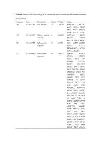 Table S1. Summary of Gene Ontology (GO) Enrichment Terms Related To
