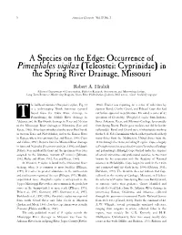 Spring 2001 Pt. 1 (Pdf)
