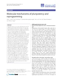 Molecular Mechanisms of Pluripotency and Reprogramming