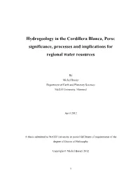 Hydrogeology in the Cordillera Blanca, Peru: Significance, Processes and Implications for Regional Water Resources