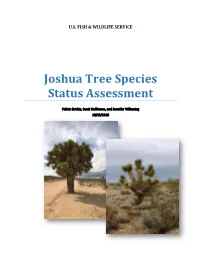 Joshua Tree Species Status Assessment