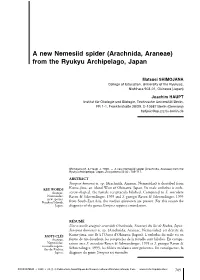 Arachnida, Araneae) from the Ryukyu Archipelago, Japan