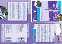 Lochee Community Map and Information