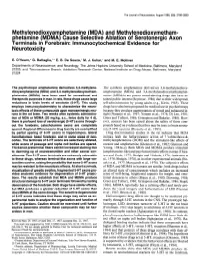 MDMA) Cause Selective Ablation of Serotonergic Axon Terminals in Forebrain: Lmmunocytochemical Evidence for Neurotoxicity