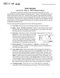 Shell-Shocked-Lab-Activity-MS