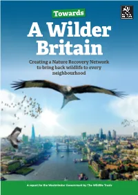Creating a Nature Recovery Network to Bring Back Wildlife to Every Neighbourhood