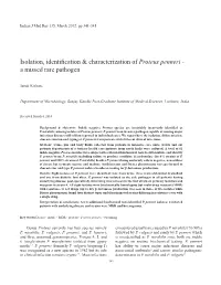 Isolation, Identification & Characterization