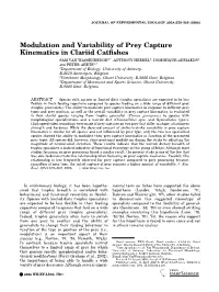 Modulation and Variability of Prey Capture Kinematics in Clariid Catfishes