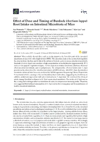 Effect of Dose and Timing of Burdock (Arctium Lappa) Root Intake on Intestinal Microbiota of Mice
