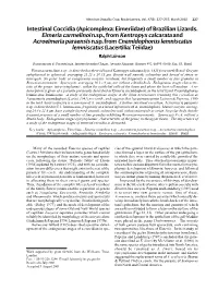 Intestinal Coccidia (Apicomplexa: Eimeriidae) of Brazilian Lizards
